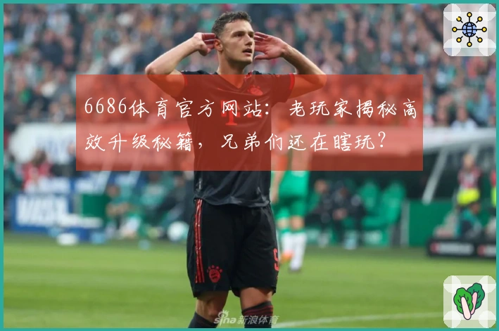 6686体育官方网站：老玩家揭秘高效升级秘籍，兄弟们还在瞎玩？
