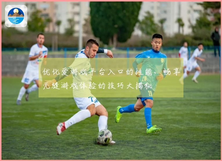 优化爱游戏平台入口的性能，畅享无缝游戏体验的技巧大揭秘