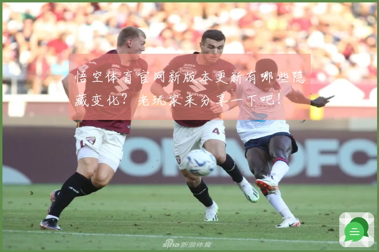悟空体育官网新版本更新有哪些隐藏变化?老玩家来分享一下吧!